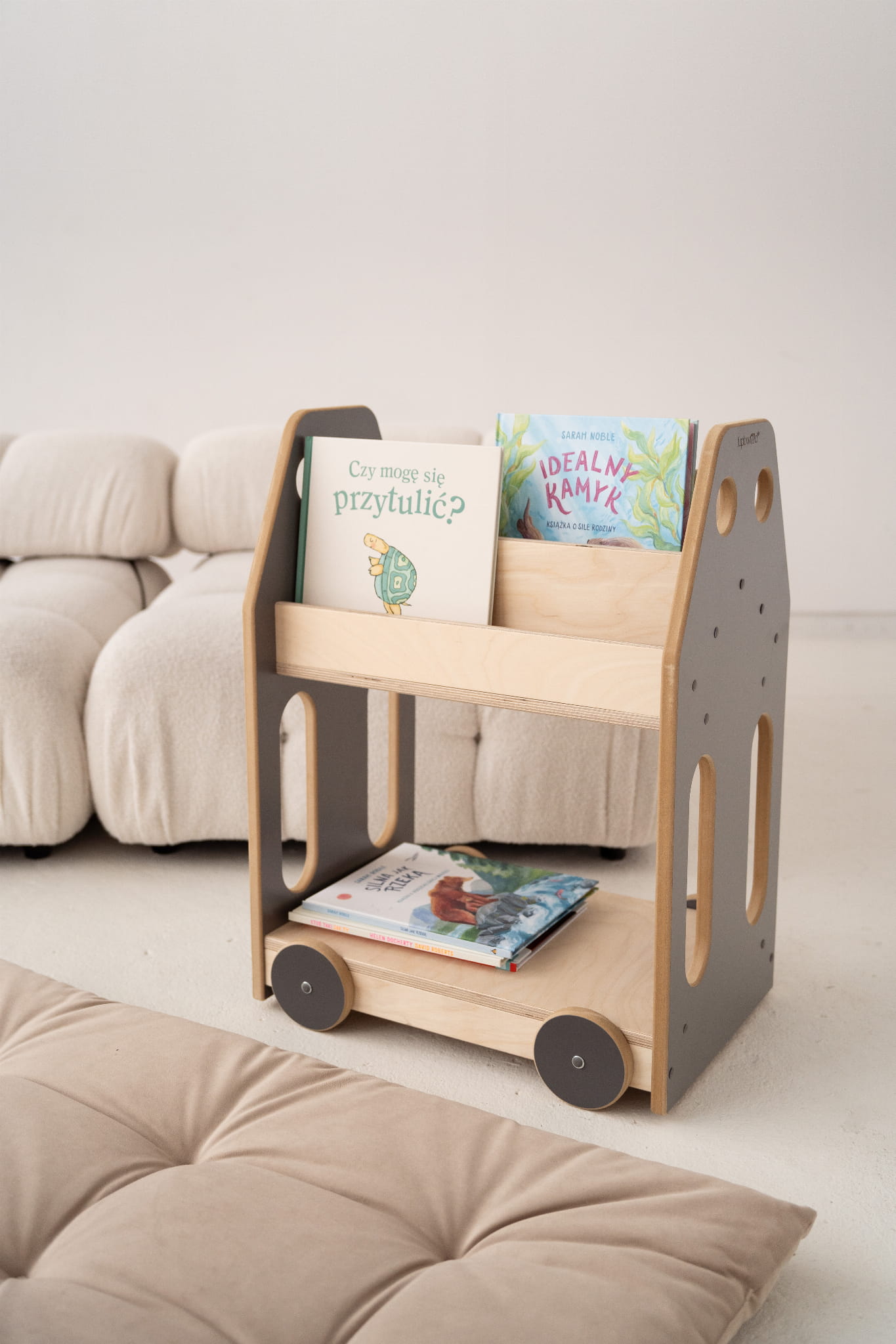 Montessori Car bookcase