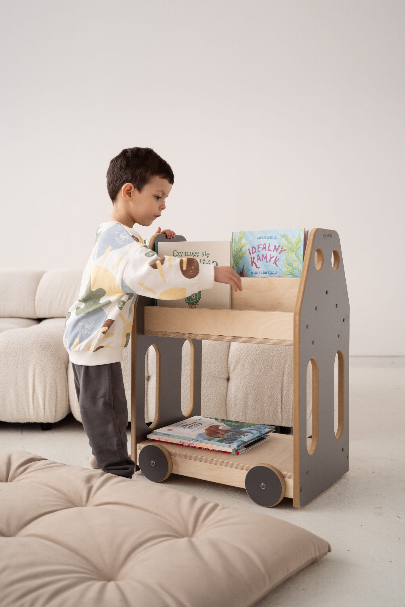 Montessori Car bookcase